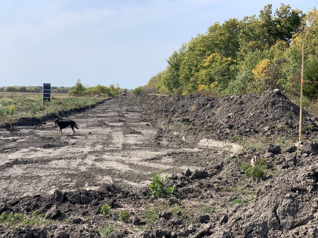 NCC Florian Diamante Wetland Restoration Project on Pelee Island with fundraising from Pelee Island Winery. 