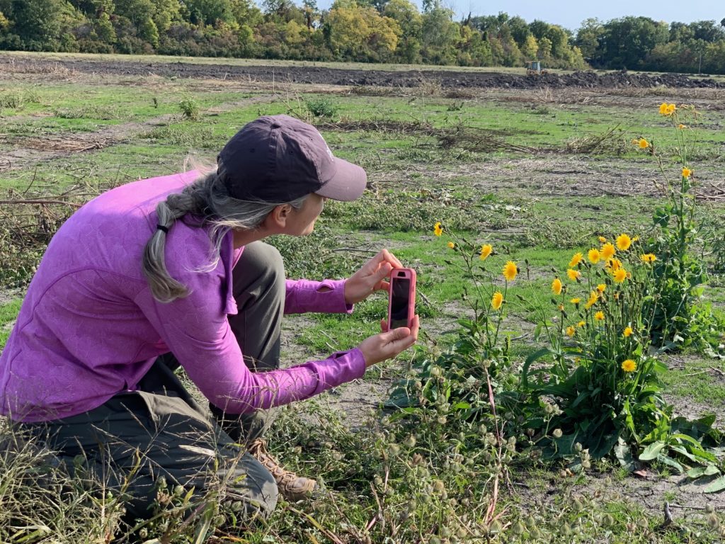 Jill Crosthwaite with the NCC restored wetlands on Pelee Island