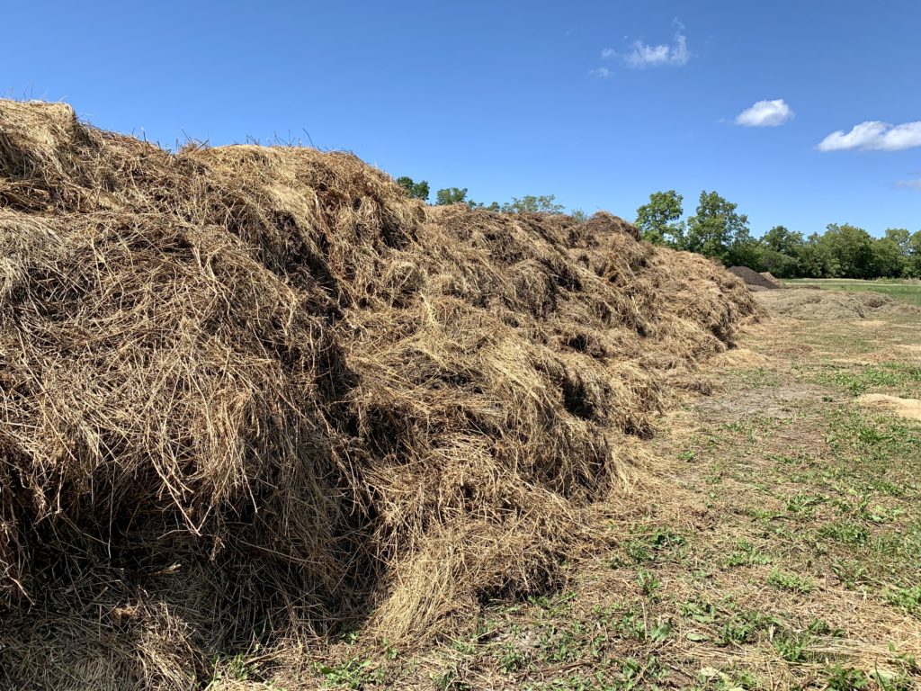 Alfalfa compost use for sustainable winery practices at Pelee Island Winery on Pelee Island. 